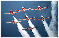 Snowbirds
