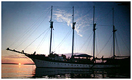 S/V Fantome
