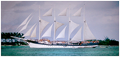 S/V Fantome