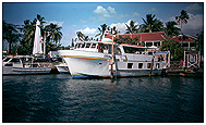 Lahiana Harbour
