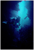scuba diving