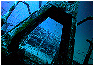 Bow winch on a shipwreck