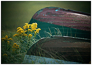 Boats on Cape Cod