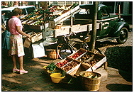 Selling vegetables in Martha's Vineyard
