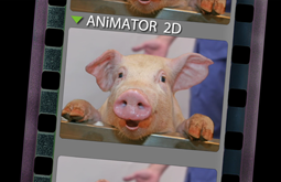 Greensleeves - a H1N1 swine flu video shot and edited by Graham Collins