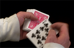 All The Cards - a video shot and edited by Graham Collins for the BC Civil Liberties Association