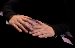 a video shot and edited by Graham Collins for the BC Civil Liberties Association
