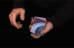 a video shot and edited by Graham Collins for the BC Civil Liberties Association
