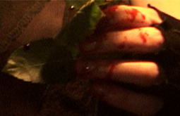 a music video shot and edited by Graham Collins for the song Eden written and performed by BronweN